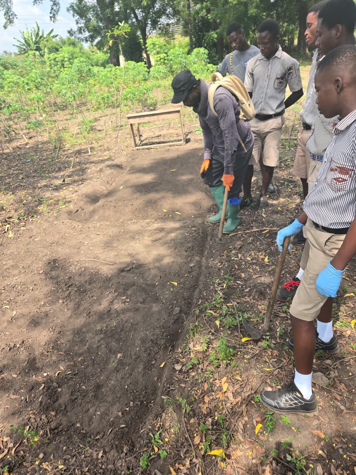 Students and their instructor planting along a row