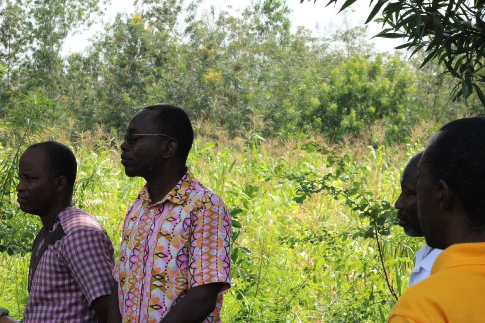 The school's green crop field