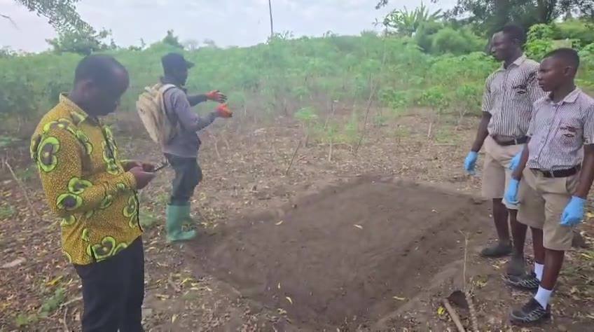 A school garden lesson in Ghana